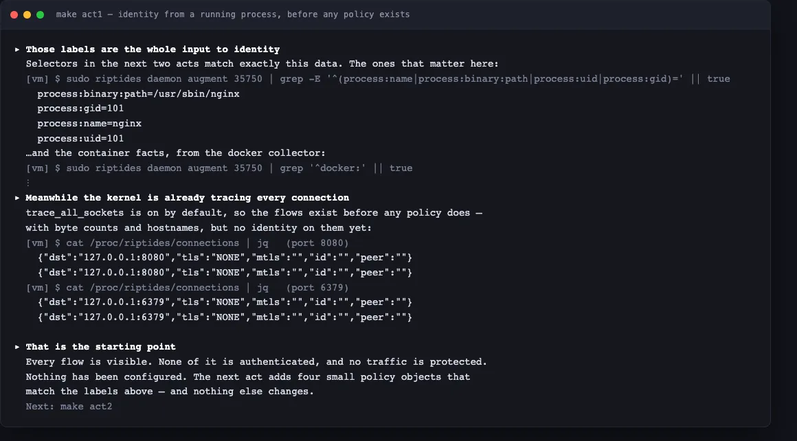 Terminal output from make act1: the daemon's labels for the nginx worker, and the kernel already tracing both connections with no identity on them
