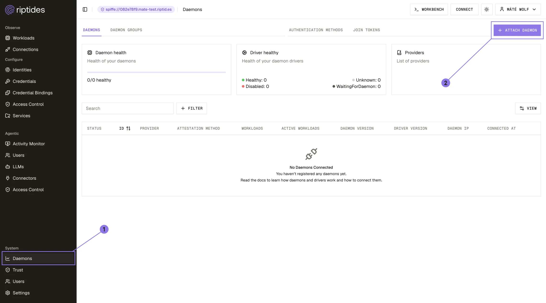 Screenshot: Attach Daemon step in Riptides console
