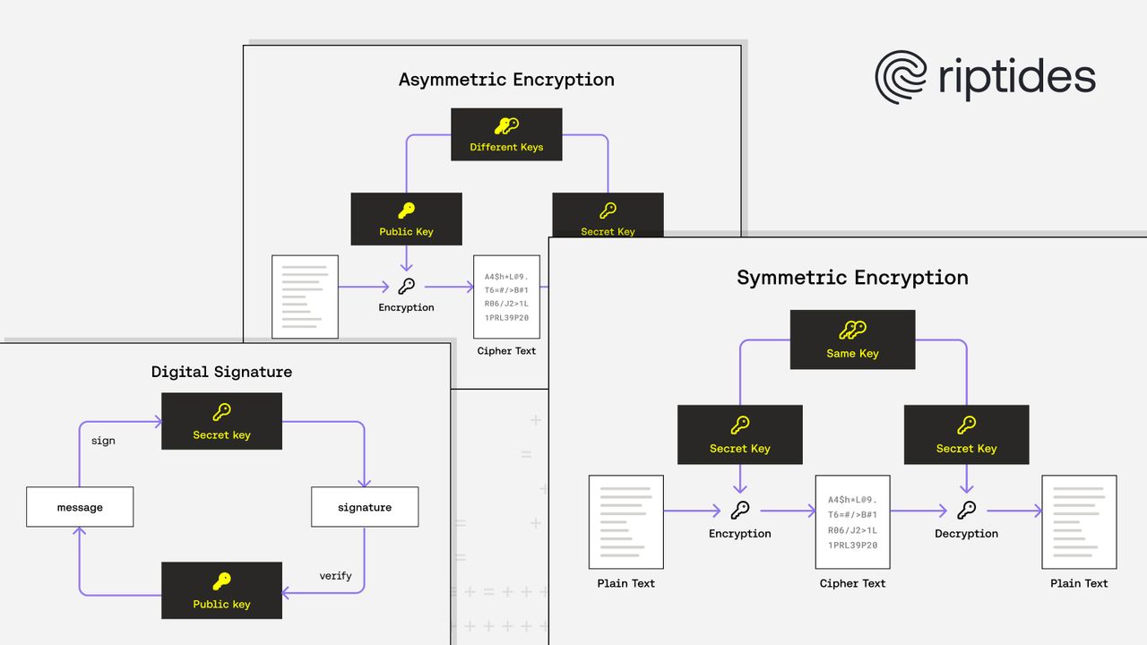 From Keys to Handshakes: How Cryptography Powers Riptides