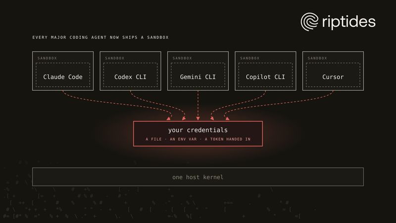 Five AI coding agents, each in its own sandbox on one host kernel, all still reaching the user's credentials