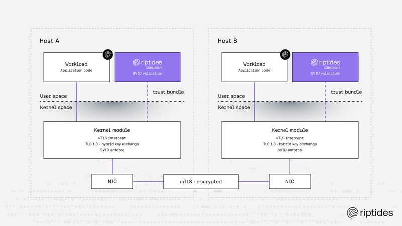 TLS 1.3 for Every Internal Connection — and What Comes Next
