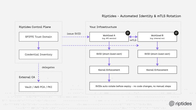 The 200-Day TLS Era Has Begun — Is Your Infrastructure Ready?