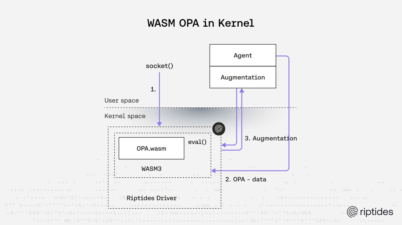 From Kernel WASM to User-Space Policy Evaluation: Lessons Learned at Riptides