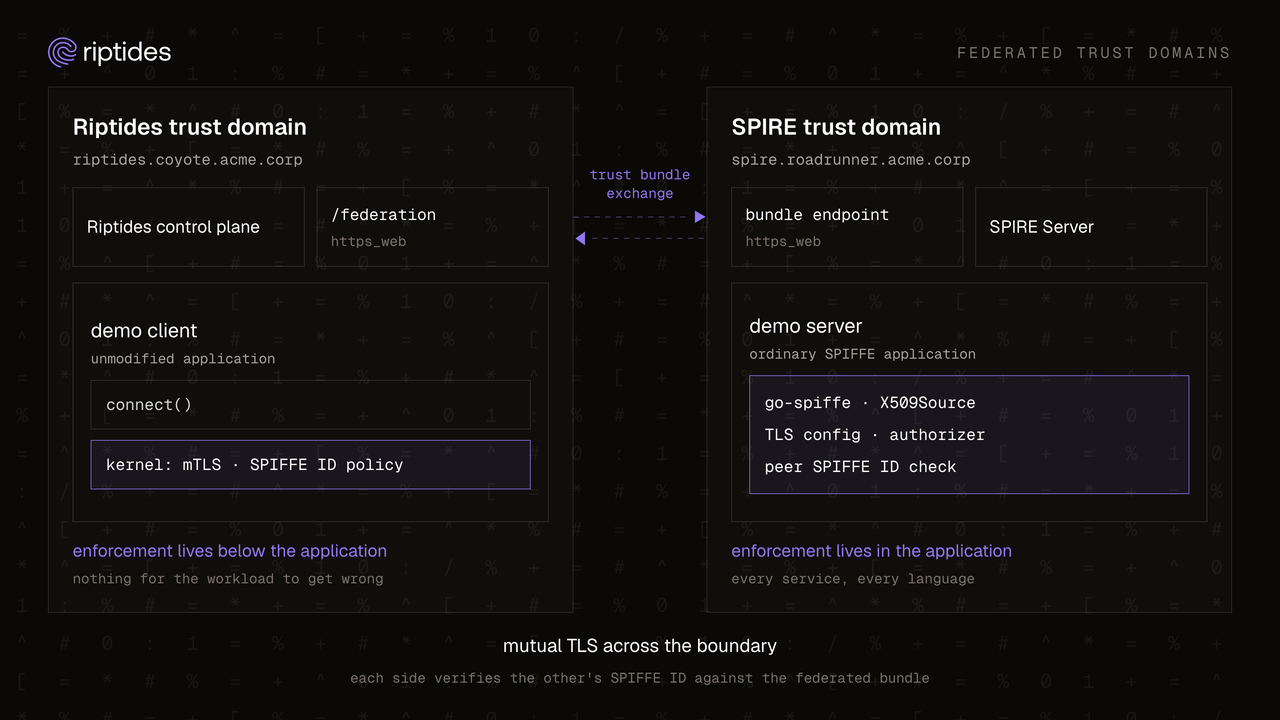 Federating Riptides with SPIRE