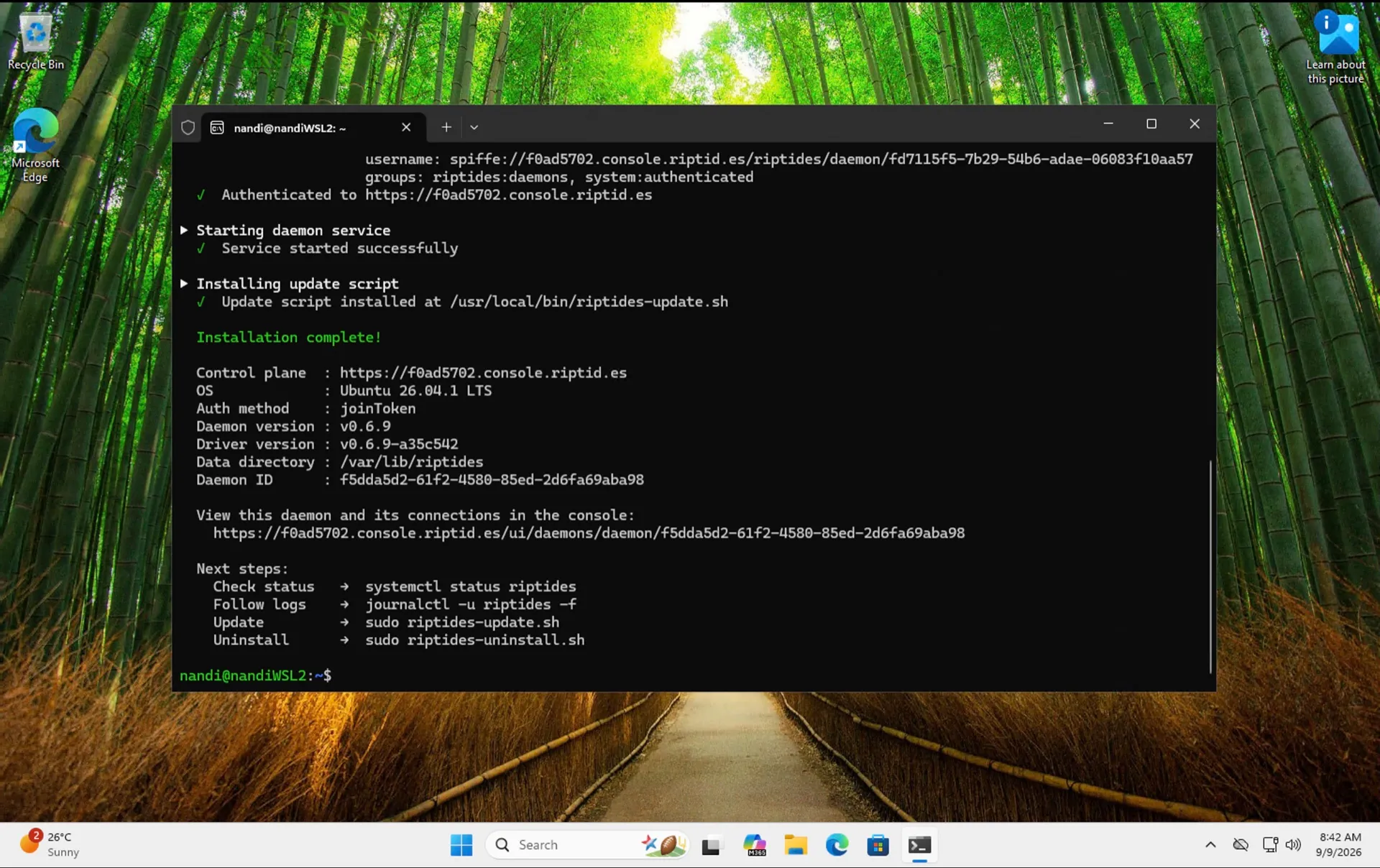 Riptides installed inside WSL2 on Windows
